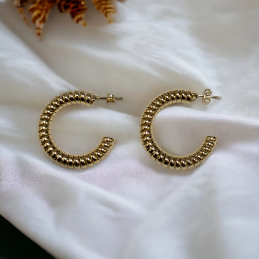 Spiny Hoops