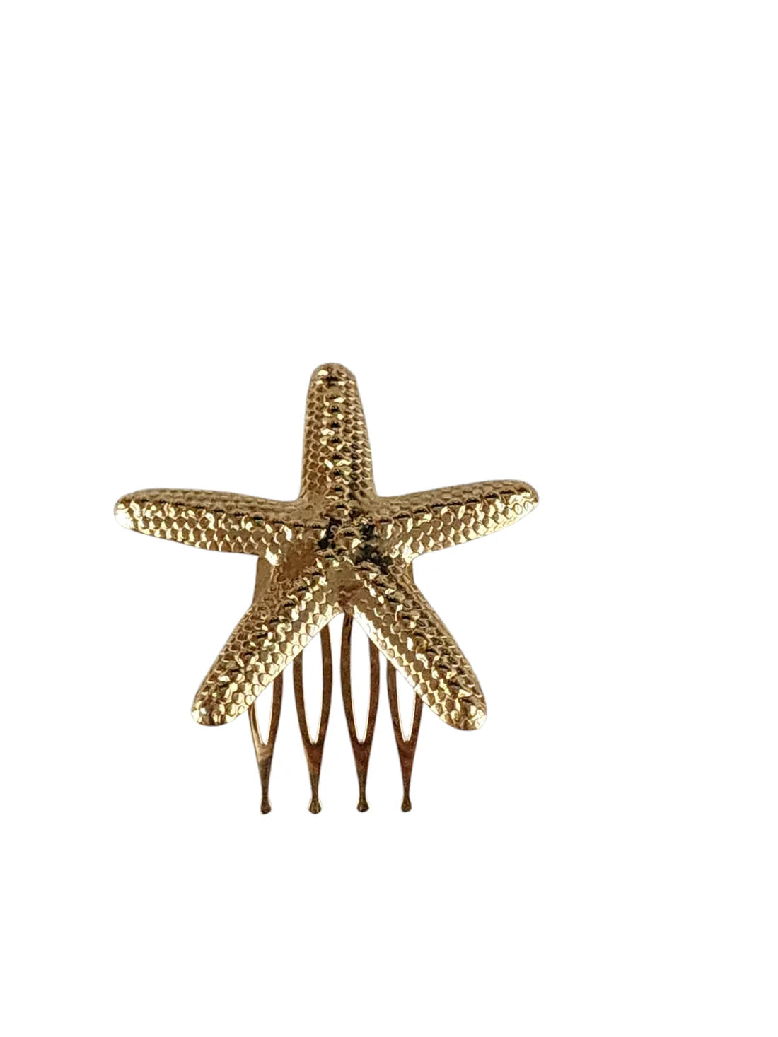 Sea Star Kiss Pin